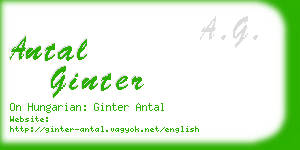 antal ginter business card